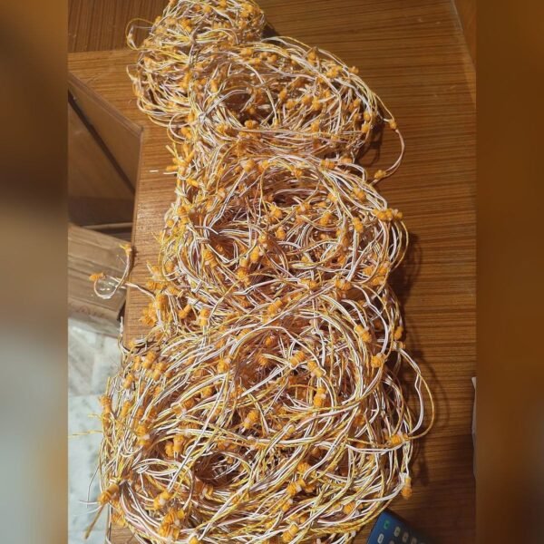 12V LED Rope Light 20 Ft, All 7 Colours
